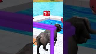 Buffalo Elephant Cartoon Animals Fun  #animation #cowvideos  #cartoon #animalsgames #kids #shorts