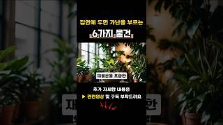 집에 두면 절대 안되는 물건 | 부자들은 절대 이물건 집에 안둡니다 | 생활풍수 | 재물운 | 대운