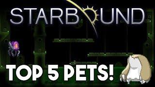 Starbound: Top 5 Pets - 1.4 UPDATED!