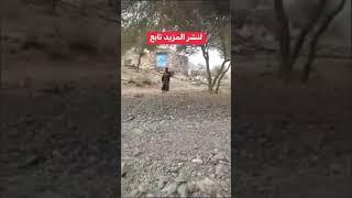 روائع الفن الاصيل للازامل اليمني