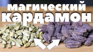 СПЕЦИИ ПО ВКУСУ: КАРДАМОН (с рецептами применения)