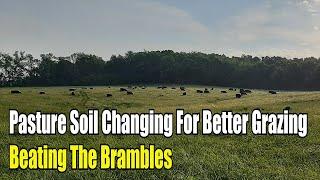 Pasture Soil Changing For Better Grazing, Beating The Brambles