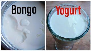 Yiga okola bongo /yogurt #explained #yogurt #milk