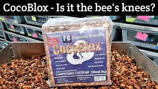 Freedom Breeder CocoBlox Bedding and How it Compares to Reptichip and Prococo