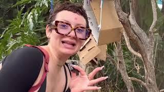 Your Favorite VanillaMace Funny Moments