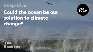 Could the ocean be our solution to climate change? | The Excerpt