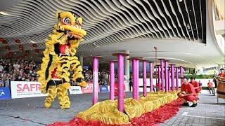 Acrobatic Lion Dance and Dragon Dance at SAFRA Punggol