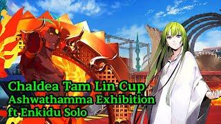 Chaldea Tam Lin Cup - Ashwathamma ft Enkidu solo