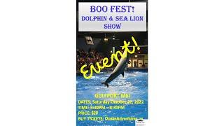 #shorts EVENT -  BooFest Dolphin & Sea Lion Show 2022 GULFPORT MS, Mississippi Gulf Coast