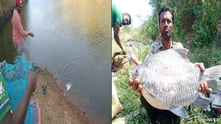 Fish hunting||amazing hargi carp fish catching|| fishing for hargi carp fish