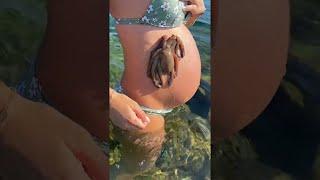 Octopus Clings To Pregnant Belly || ViralHog