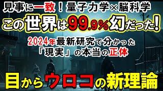 【2024最新研究】「この世界は実在しない」証拠が次々と…最新研究で分かった宇宙の真実！世界の99.9%はホログラムだった？【量子力学】