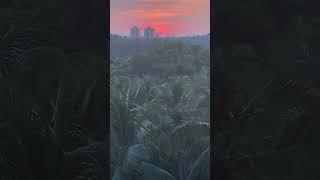 Red sky#evening#sky#sunset#sunsetphotography#travel#calicut#pvs#life#music#beach#love