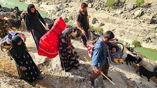 Spring Migration Begins — Salahuddin and the Family Face the Mountains Together