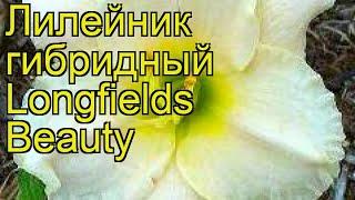 Лилейник гибридный Лонгфилдс Бьюти. Краткий обзор, описание hemerocallis Longfields Beauty