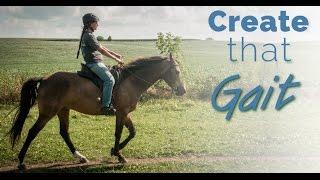 Training the Gaited Horse that Trots and Paces - before and after