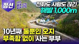 [강원 정선] "오지라고 힘들게 살 필요 있나?" 도시 생활에 염증 느끼고 떠난 전화도 안 되는 해발 1,000m 산골에서 부족한 것 없이 사는 자연인 부부┃#한국기행 #방방곡곡