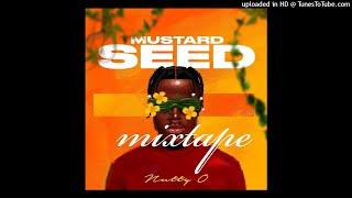 NATTY O MUSTARD SEED ALBUM MIXTAPE DONE BY VYBZ MUKURU