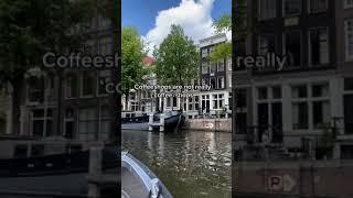 Cultural Shocks after moving to The Netherlands  #shorts #viral #shortvideo #shortsvideo