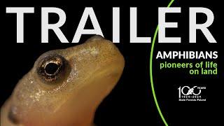 AMPHIBIANS. Pioneers of life on land - TRAILER