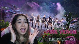 BLACKPINK - 'PINK VENOM' & 'SHUTDOWN' M/V REACTION