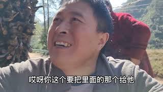 农村养蜂在蜂桶上盖红布，大家猜到底起什么作用？有什么忌讳吗？