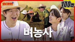 Harvesting in a 6600 m2 rice field with "VERY RICE" friends | SEVENTEEN Joshua, Jun | Workman2