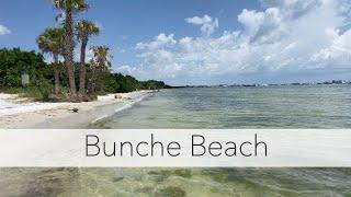Virtual shelling like a local. Let's explore Bunche Beach!