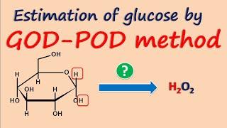 GOD-POD method for estimation of glucose