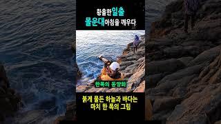 황홀한 일출, 몰운대의 아침을 깨우다, 붉게 물든 하늘과 바다는 마치 한 폭의 그림#일출#몰운대#수평선