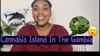 Things to do and places to visit In The Gambia | visit The cannabis island & Dolphin Spotting-Jinack