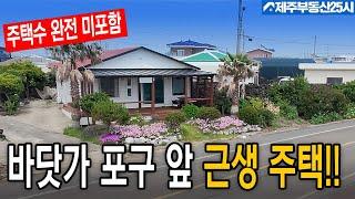 [매물번호0533] 우영우 촬영지 영구 조망 포구 앞 소형 주택 구입 찬스 #제주도부동산