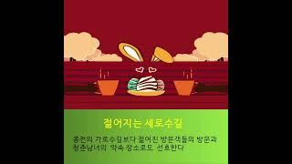 강남신사동세로수길