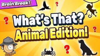 What's That? Animal Edition | Brain Break | Guess Who? Games For Kids | GoNoodle Inspired