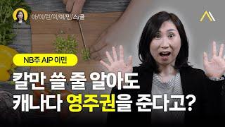 [프로모션 진행중] 단군 이래 가장 쉽고 빨리 캐나다 영주권 따는 법️| 아이린의 이민스쿨 NB주 AIP이민 편