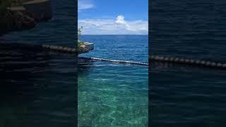 Quick dip.. #beachvlog #bestofcebu #cebu #lapulapu