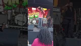 Julian Marley & The Uprising - Live at Simmer Down Festival 2024, UK