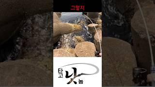박혀도 소용없다 There is no Use getting Stuck under the Tetrafort(Rockfish Hole Fishing).