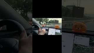 테슬라 모델 Y 오토파일럿 미묘한 작동법, 살살? #테슬라 #TESLA