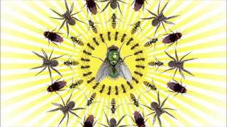Rose Pest Solutions  Summer Pests