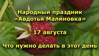 Народный праздник «Авдотья Малиновка». 17 августа. Что нужно делать в этот день