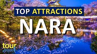 Amazing Things to Do in Nara & Top Nara Attractions