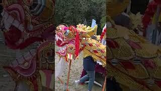 Горыныч/ Дракоша
