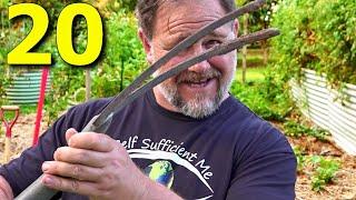 20 BEST Garden Tools I ALWAYS Use (Non Powered)