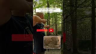 3D ARCHERY LOVE -  new video from the beautiful 3D course!