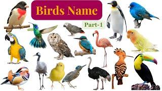 Birds Name in English | Birds name vocabulary | Name of Birds |# infants world