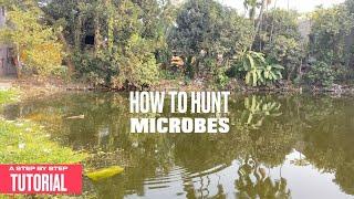 How to Hunt Micro Organism under pond water? | Step by step Tutorial | Amateur Microscopy