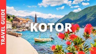 Kotor Montenegro Travel Guide: 15 BEST Things To Do In Kotor