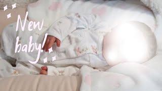 New Reborn Baby Girl Box Opening | Sophia's Reborns