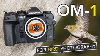 OM System OM-1 Review for Bird Photography - A ‘WOW’ camera or just “good”?